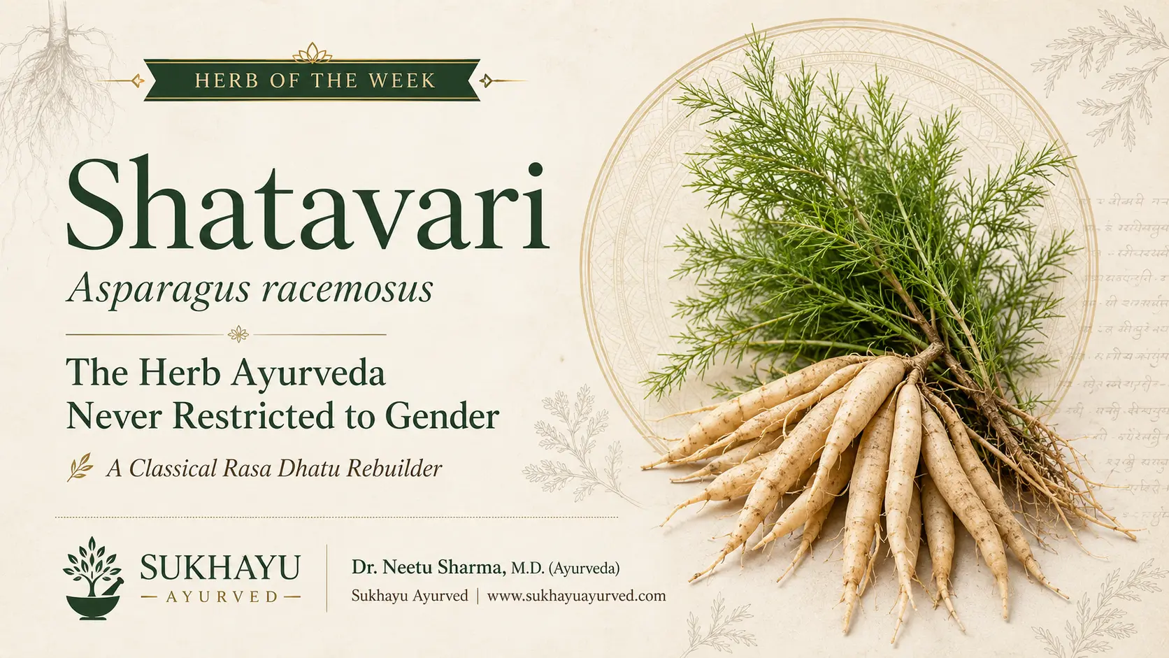 Shatavari: the herb Ayurveda never restricted to gender