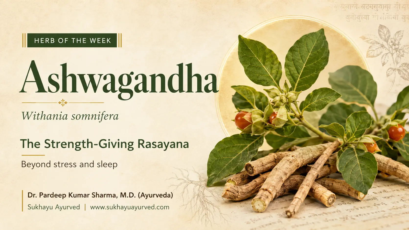 Ashwagandha in Ayurveda: The Complete Clinical Guide to Withania Somnifera