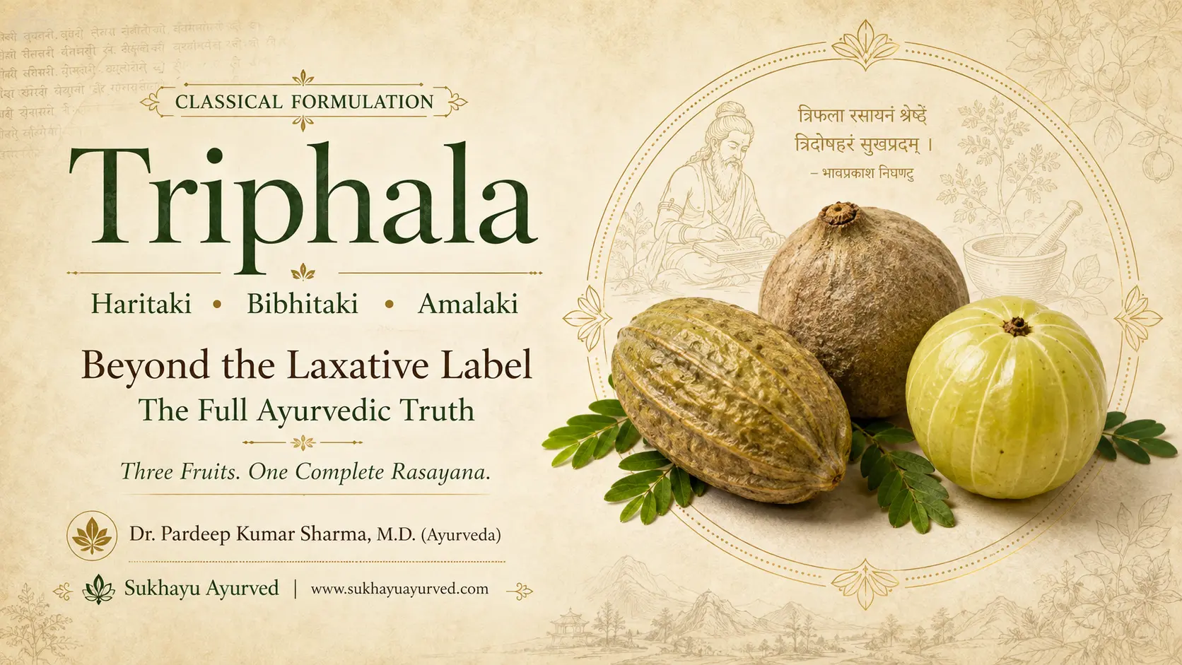 Triphala: Beyond the Laxative Label — the Full Ayurvedic Truth