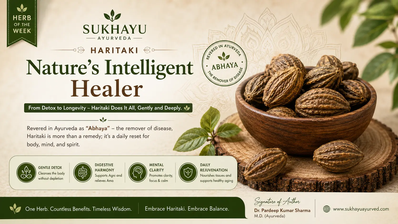 Haritaki: The "King of Herbs" in Charaka Samhita — and Its Clinical Relevance Today
