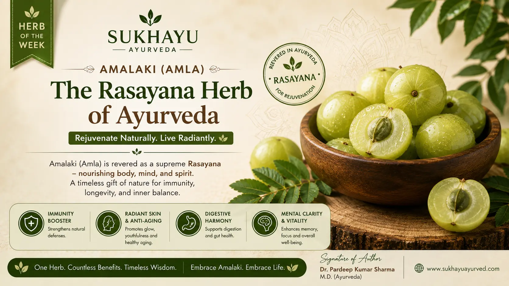 Amalaki (Amla): the Rasayana herb every Indian household forgot to use correctly